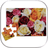 Roses Puzzle加速器