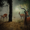 Animals Deer Hunter 2019加速器