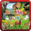 Animal Sounds & Animal Names加速器