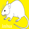 Joshua
