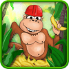Jungle Monkey Mania - Catch The Fruits加速器