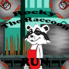 Rocky The Raccoon Run加速器