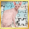 Sphynx cats jigsaw puzzle加速器