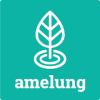 Quiz Amelung加速器