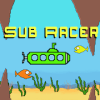 Sub Racer加速器