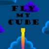 Fly My Cube Lite加速器