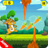 Biso Rabbit Corgi Run Escape Bunny Game