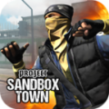 Project Sandbox Town