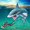 HUNGRY SHARK SIMULATOR ATTACK加速器