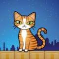 灵巧的猫咪