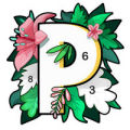 Patly秘密花园数字涂色