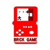 Geo brick game加速器