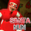 Santa Nun加速器