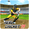 Real Cricket Championship 2019加速器