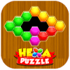 Hexagon Block Puzzle Fun加速器