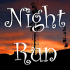 Night Run  A Classical Adventure加速器
