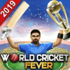 World Cricket Fever 2019加速器