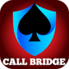 Call Bridge Card Game Offline加速器