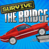 Survive The Bridge加速器