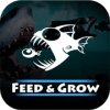 Fish Feeding and Grow Hangry Fish