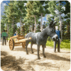 Tik Tuk Tok Tok Donkey Driving & Parking Game