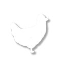 养鸡场Cheeky Chooks