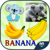 First Words for Kids 2加速器