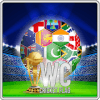 WC cricket flags match加速器