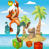 Crash Island Adventure Bandicoot