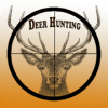 Deer Hunting Real animals Shooting