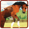 My Dancing Horse 3D加速器