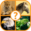 Animal Trivia Quiz  Guess the Animal Game