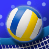 International Volleyball 2019  World Champion加速器