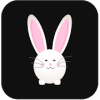 Hungary Rabbit