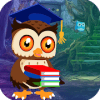 Best Escape Game 587 Degree Owl Rescue Game