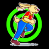 Run Rabbit Race 3D加速器