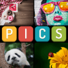 Wc Pcs Quz 4 Pcs 1 Wrd Gam 2019