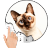 Cat Ptgray Clr By Numbr Pxl Art
