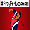 Pray for Nesamani The contractor