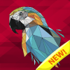 Birds color by number Adult poly art coloring