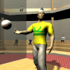 Hand Pelota Online Basque HandBall