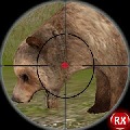 致命的猎熊3D加速器