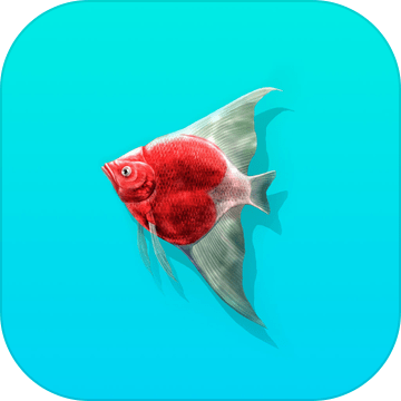 Dreamcatch加速器