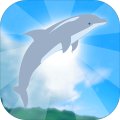 DolphinUp