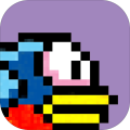 BirdWatchGame