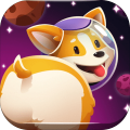 Corginaut