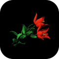 EscapeGameRedFlower