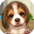 MyFirstDog