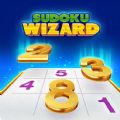 Sudoku wizard加速器