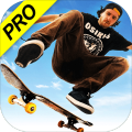 SkateboardParty3Pro